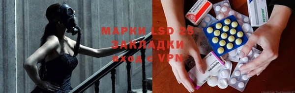 гашик Горняк