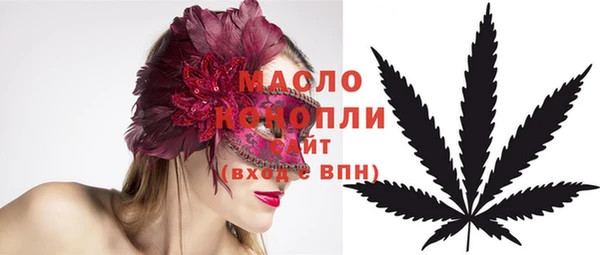 гашик Горняк