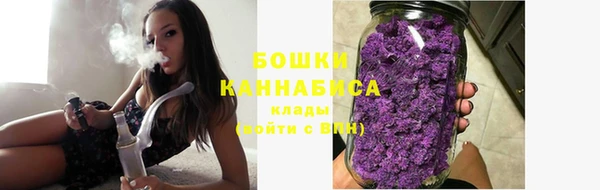 молекула духа Горнозаводск