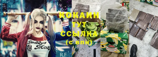 молекула духа Горнозаводск