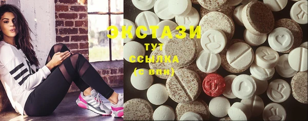 гашик Горняк