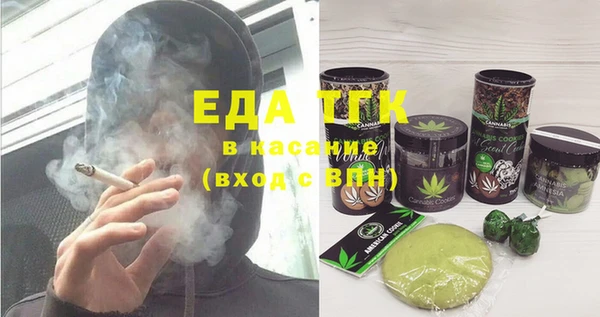 гашик Горняк