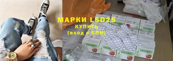 гашик Горняк
