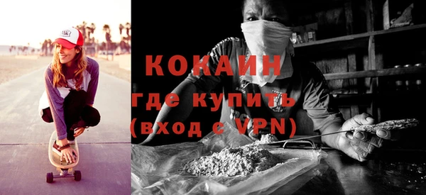 гашик Горняк