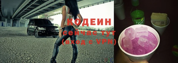 гашик Горняк