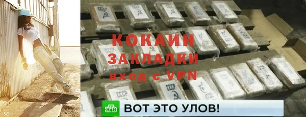 гашик Горняк