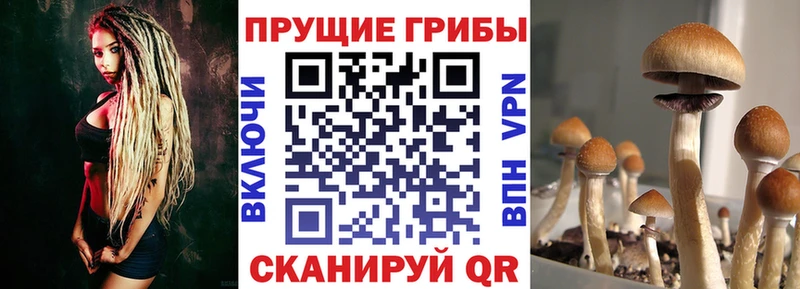 Галлюциногенные грибы ЛСД Назарово
