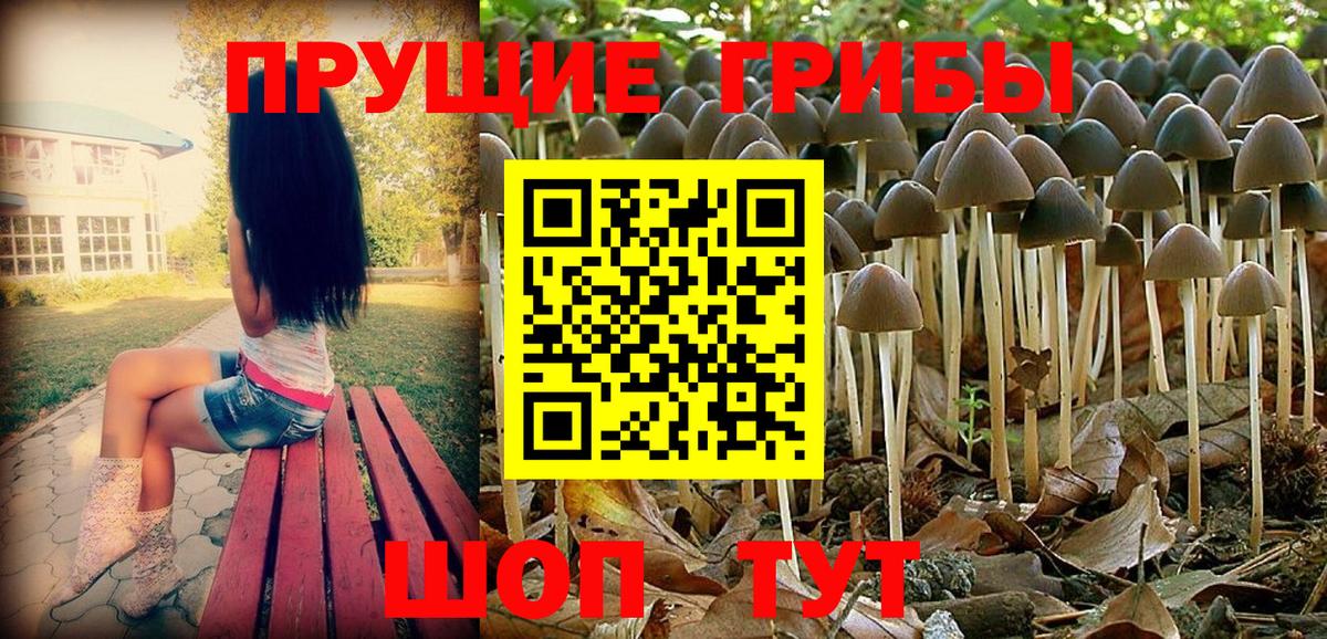 Галлюциногенные грибы Psilocybine cubensis  Вход с VPN  Назарово 